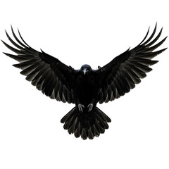 Naklejka premium Black Raven Flying with Outstretched Wings on Transparent Background 