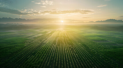 Smart Agriculture: Advanced Technology Transforming Vast Green Fields for a Sustainable Future generate by AI