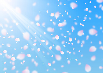 桜吹雪イラスト