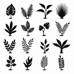 Various botanical plant designs displayed in simple black vector silhouettes against a crisp white backdrop showcasing design diversity.