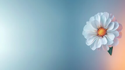 Fototapeta premium Serene White Flower Pastel Background Soft Glow High Resolution Image