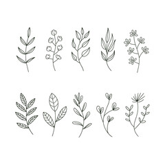 Delicate botanical illustrations of various leaves and floral sprigs, perfect for adding a touch of nature-inspired elegance to any creative project.