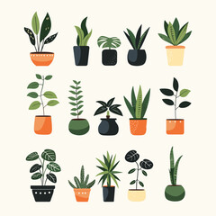Collection of diverse house plants displayed in an array of decorative pots on a neutral background. A cute addition to any room!
