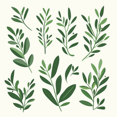 Fototapeta premium A collection of various green plant stems with leaves and some small berries are scattered on a pale background. Suitable for backgrounds and decoration.