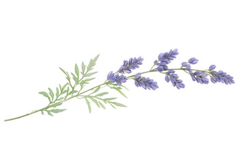 Purple Flowers Bloom Beautifully Outdoors