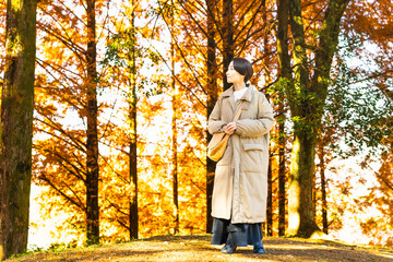 Fototapeta premium 紅葉を楽しむ女性 ライフスタイルイメージ