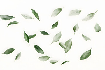 Naklejka premium Falling Leaves Dance Gently on White