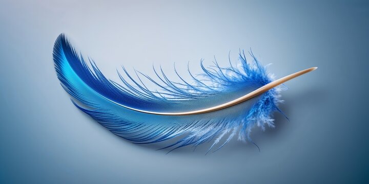 Single colorful feather is lying on a blue background with copy space.