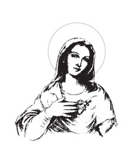 Immaculate heart of Mary Illustration Catholic religious Our Lady Vector