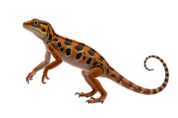 Naklejka premium Chameleons Vibrant Colors and Nature’s Camouflage
