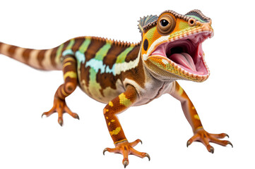 Obraz premium Chameleons Vibrant Colors and Nature’s Camouflage