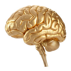 Human brain png icon sticker 3D rendering white background