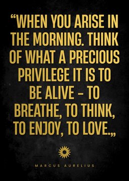 rise in the morning