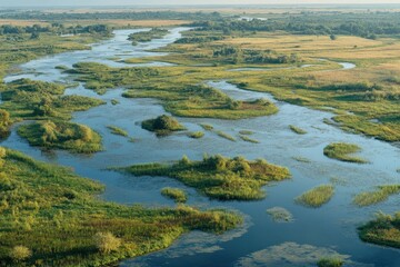 Serene river winding through lush green wetlands under a clear blue sky at dawn