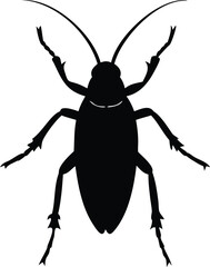 A black and white image of a beetle with a black design on it
