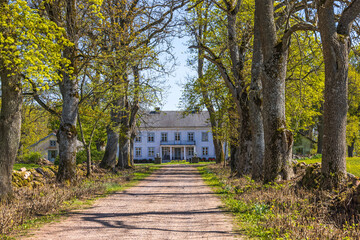 Tree lined road to a manor house in the Swedish countryside