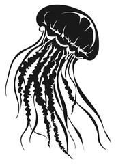 Art Nouveau jellyfish Graphic Accents, vector illustration, vintage elements	
