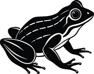 American Bullfrog silhouette Amphibian Croak Large Swamp Frog vector illustration
