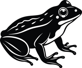 American Bullfrog silhouette Amphibian Croak Large Swamp Frog vector illustration
