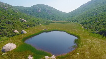 Serene Mountain Valley with Calm Pond Surrounded by Lush Greenery and Rocky Terrain