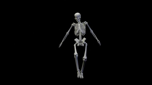 Fun seamless looped animation of a dancing skeleton