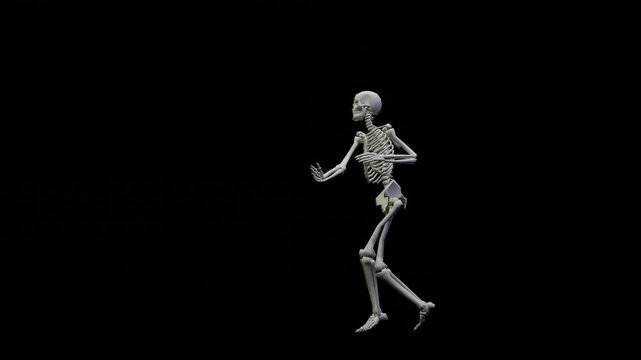 Fun seamless looped animation of a dancing skeleton