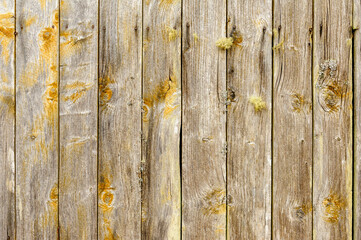 A rustic wooden vall displays varying shades and textures under bright sunlight in an outdoor environment.
