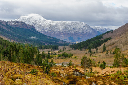 Snow-capped mountains rise above a lush valley surrounded by trees and rolling hills during a cloudy spring day.