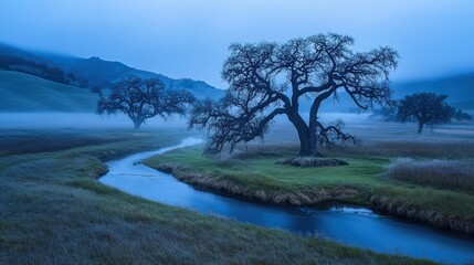 Obraz premium Three trees standing along a winding river in a hazy landscape