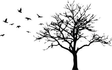 Fototapeta premium Silhouette Leafless Tree With Birds in Flight Against White Background Isolated Black