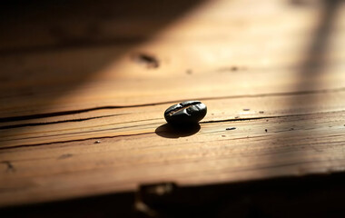 Single Black Coffee Bean on Wood