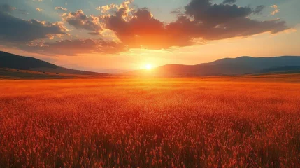 Fototapete Golden Hour Sunset over Serene Rolling Hills Field © Inkreatif