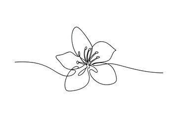 Single Line Flower Drawing, Minimalist Botanical Art, Elegant Bloom