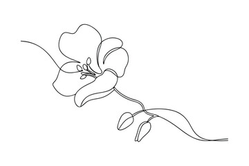 Elegant SingleLine Flower Drawing, Minimalist Botanical Art, Simple Bloom