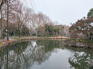 Fototapeta premium a beautiful spring with flowers and blooming trees in the city park in Shanghai city, China