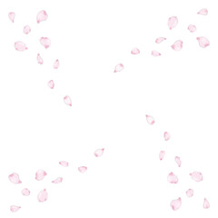 舞う桜の花びら