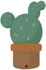 Cactus Desert Plan