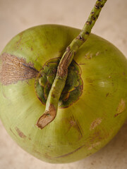 Whole coconut with shoot with brown textured background. Abstract food image.