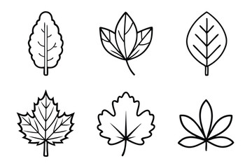 Summer Leaves Icon Set – Vector Line Art of Maple, Oak, Birch, Elm & More
