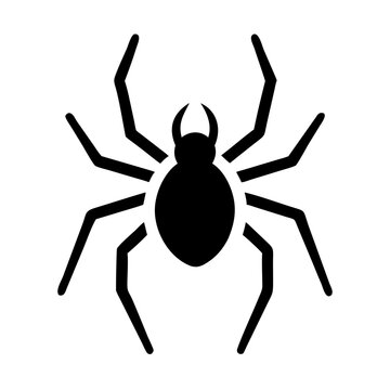 Spider insect silhouette with long legs