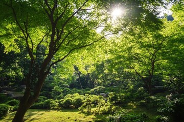 Naklejka premium Park scenery with natural light filtering through foliage