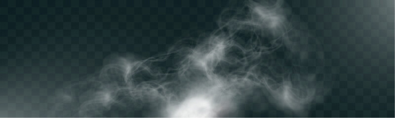 Realistic white smoke on transparent background with soft swirling effect, misty fog, airy vapor, atmospheric haze, drifting smog, subtle steam, floating cloud, delicate fumes.
