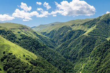 Fototapeta premium In the mountains of the Caucasus on a summer day. The Chechen Republic, Russia