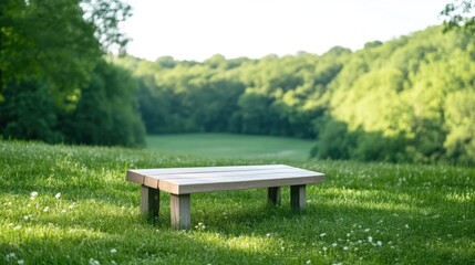 Naklejka premium Simple wooden bench in a grassy field overlooking a lush forest