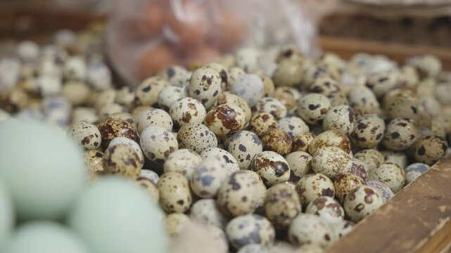 Telur puyuh. Quail eggs are quail eggs which are often used as a food ingredient in various culinary traditions around the world
