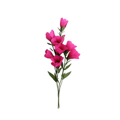 Fototapeta premium A single pink flower with a stem. The flower is the main focus of the image. The flower is the only thing that is visible in the image
