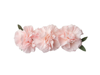 Three pink flowers are arranged in a row. The flowers are delicate and have a soft, romantic feel. The arrangement is simple yet elegant, and it conveys a sense of beauty and grace