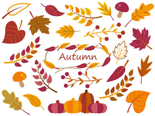 植物■秋の葉のイラストセット■グリーンリーフ