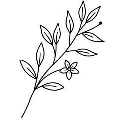 Simple Black Line Art Botanical Branch with Flower, Leaves & Berry on White Backdrop