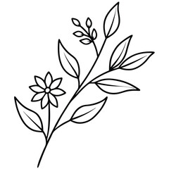 Simple Botanical Line Art Flower, Leaves, and Stem Outline on White Background